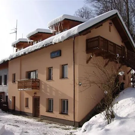 Guest house Artur *